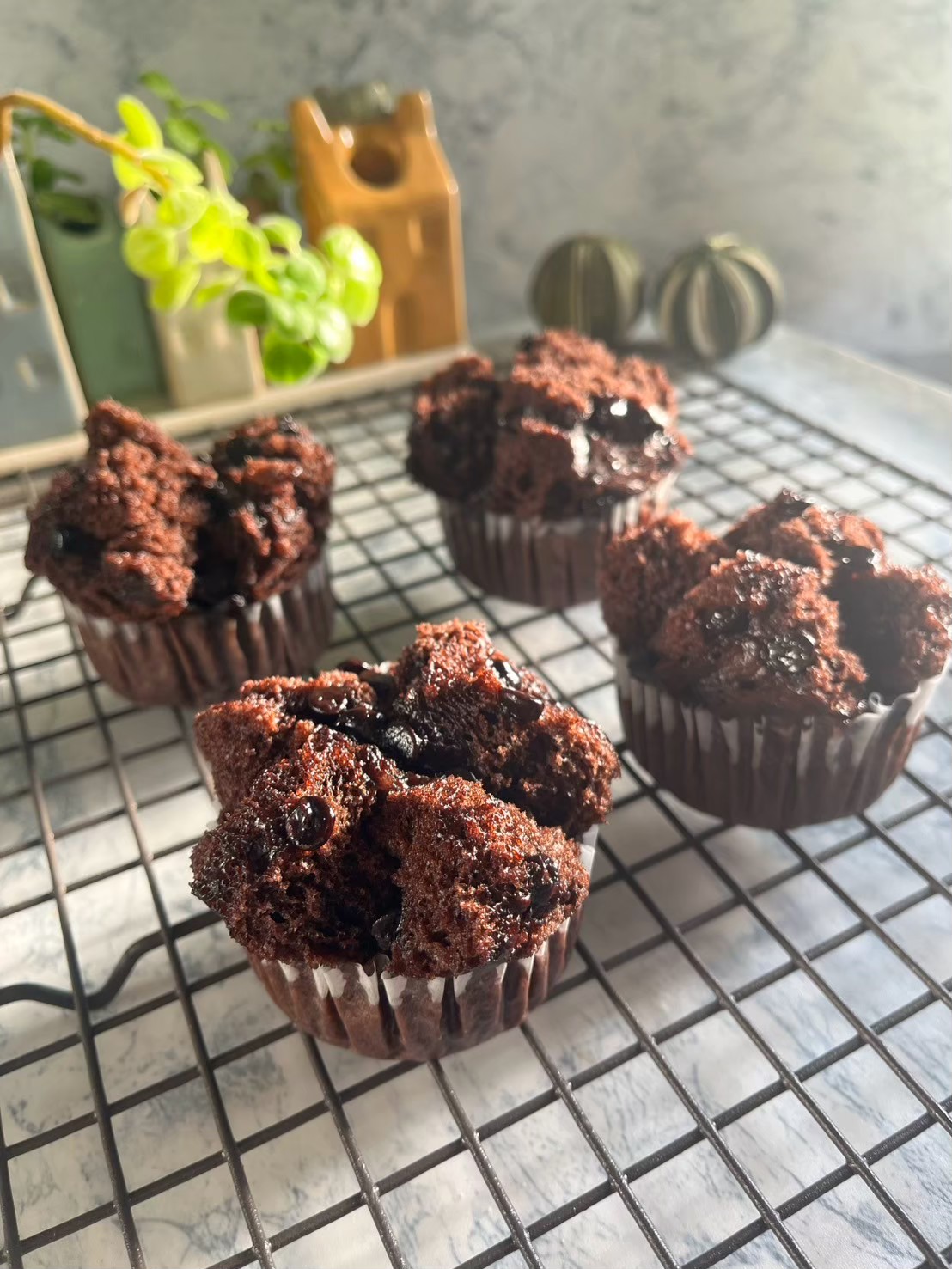 チョコ蒸しパン