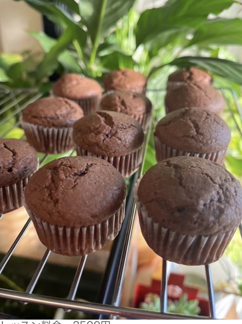 チョコマフィン